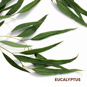 MIZANI SCALP CARE CALMING SCALP LOTION 118 ML