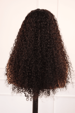 HD Peruvian 13x4 Lace Wig Velvet Curl 18 Inch
